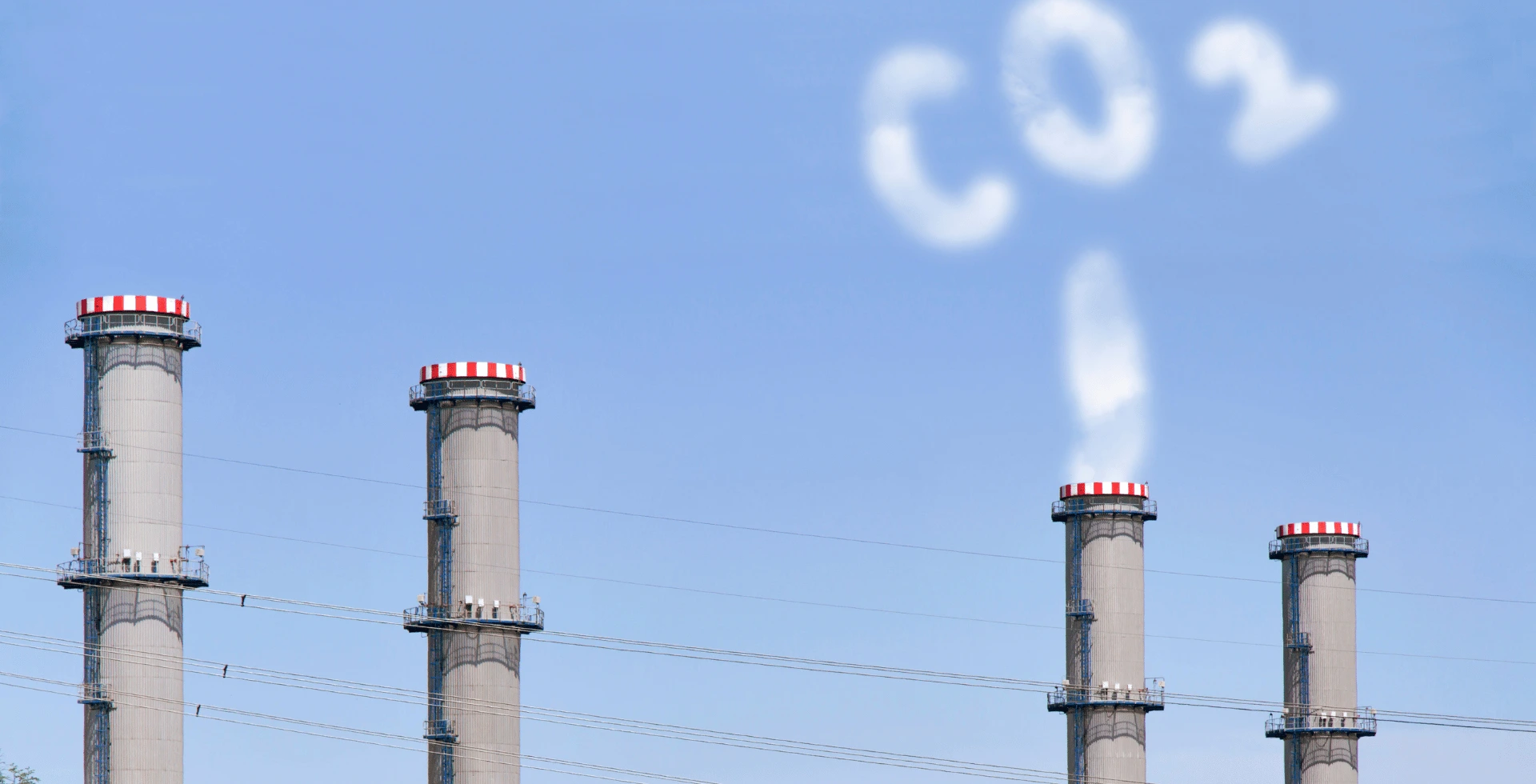 EU CBAM & EUDR: Navigating Carbon and Deforestation Compliance in Global Supply Chains